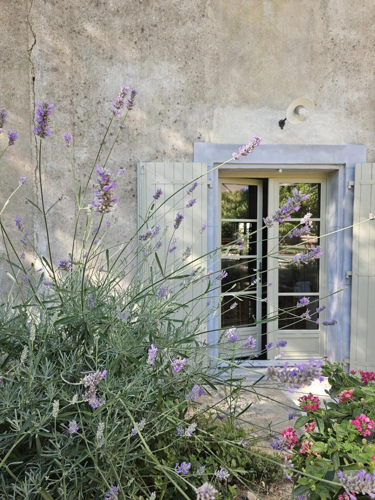Maison Vigneronne De Bonne Maman - Climatisee Cesseras Eksteriør billede